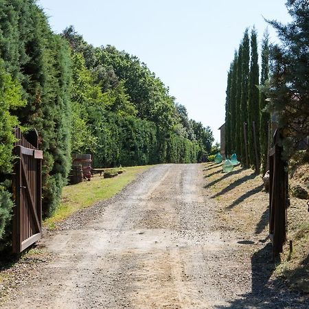 Agriturismo La Vigna San Gimignano Dış mekan fotoğraf