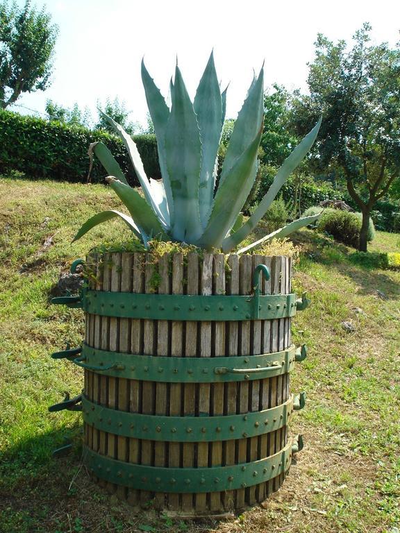 Agriturismo La Vigna San Gimignano Dış mekan fotoğraf