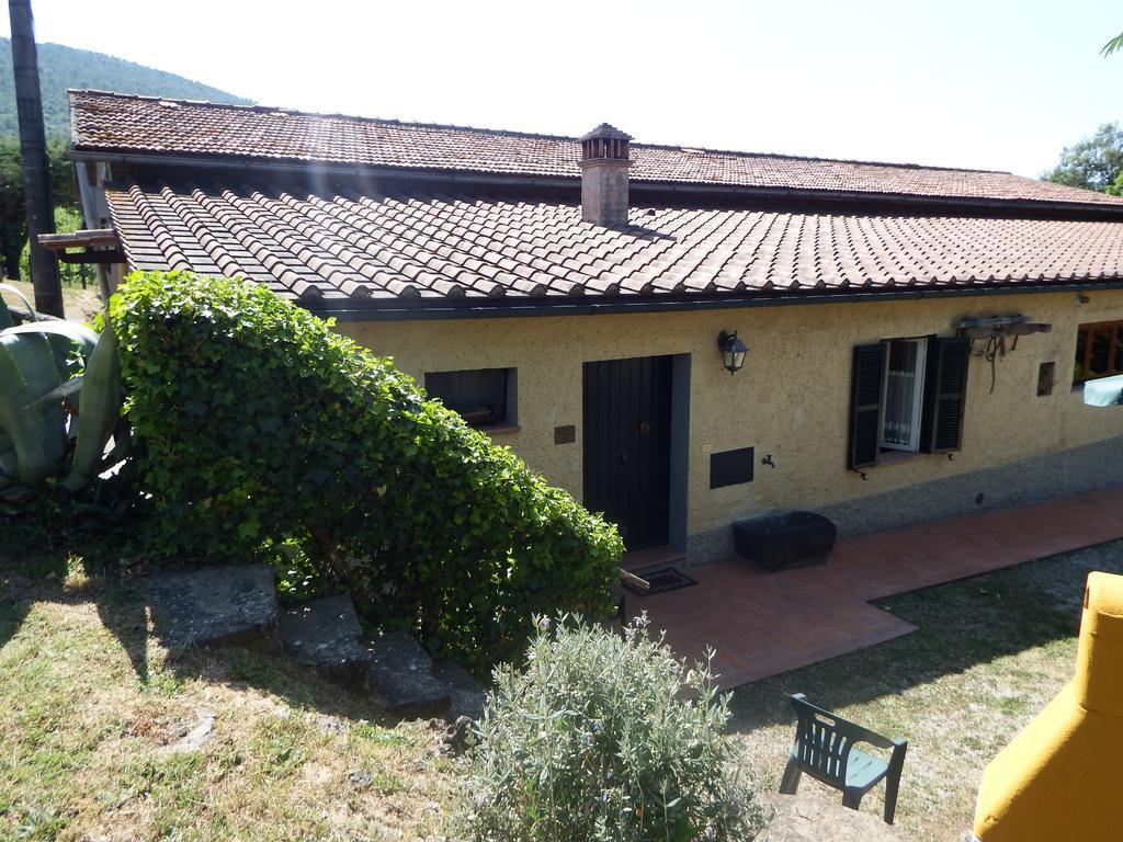 Agriturismo La Vigna San Gimignano Dış mekan fotoğraf