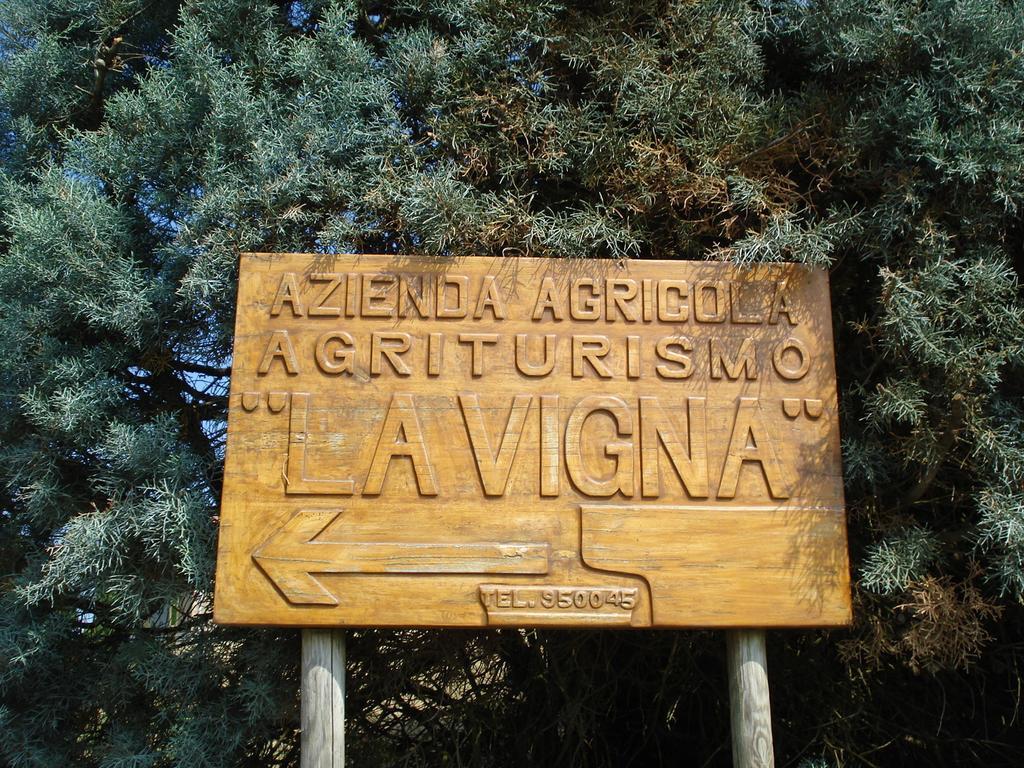 Agriturismo La Vigna San Gimignano Dış mekan fotoğraf