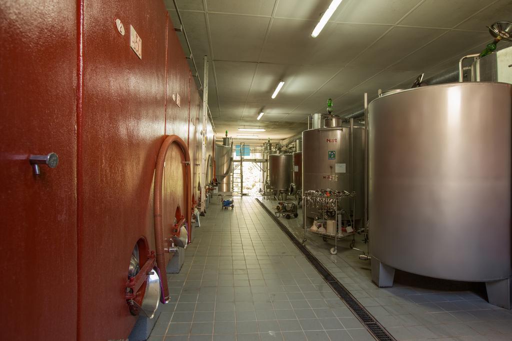 Agriturismo La Vigna San Gimignano Dış mekan fotoğraf