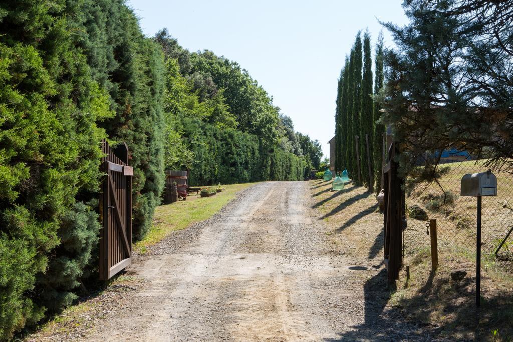 Agriturismo La Vigna San Gimignano Dış mekan fotoğraf